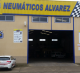 Neumáticos Alvarez